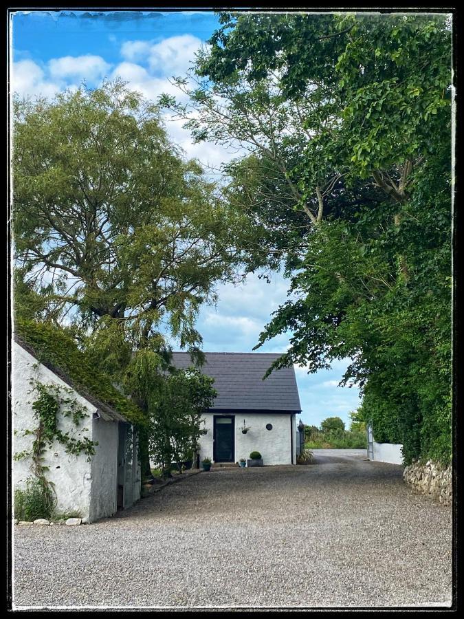 Sanctuary Lodge Cork Zewnętrze zdjęcie